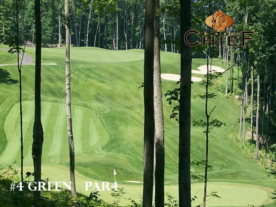 The Chief Golf Course - Photo 6